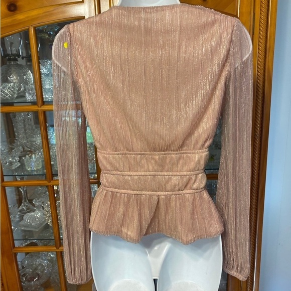 Sophia Vergara Womens Metallic Semi Sheer Blouse NWT size XS - Picture 5 of 7